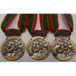 Medal M1